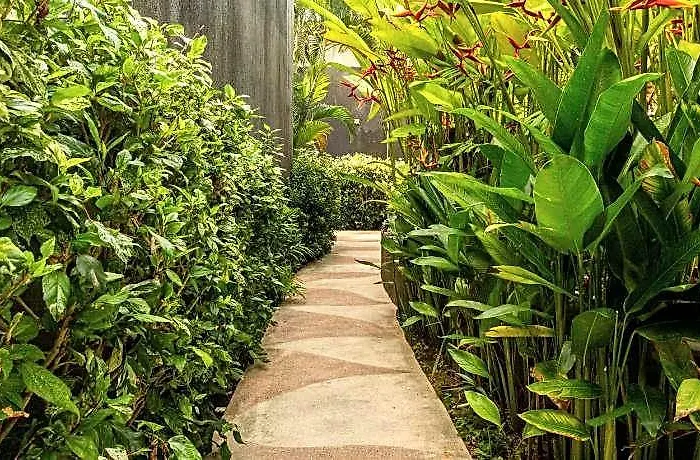 Taman Mesari Luxury Villas-seminyak スミニャック